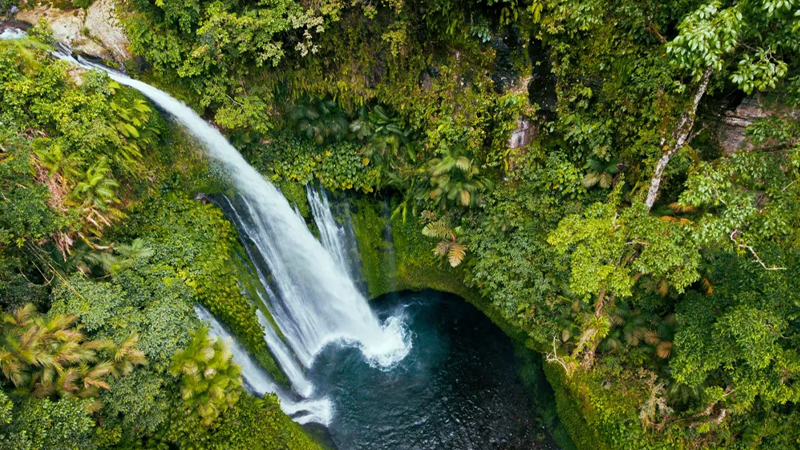 Menikmati Keindahan Alam Lombok Dari Pantai hingga Air Terjun